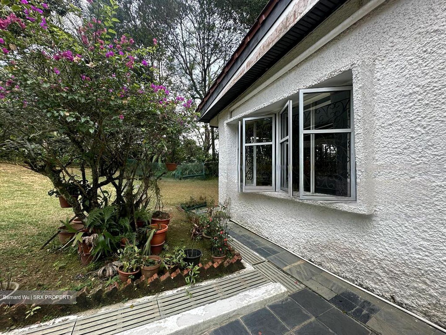 Bukit Timah Road (D10), Detached #491135741